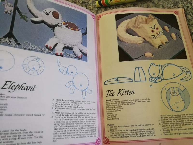 BAKE & CREATE CHILDREN CAKES GLADIOLA BOTHA CONNIE SWANNEPOEL (  please take note of the condition )