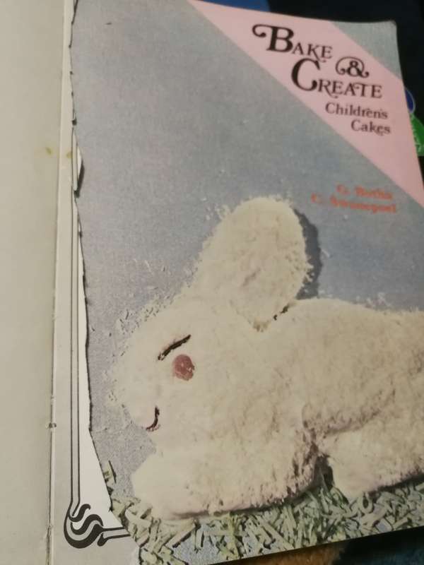 BAKE & CREATE CHILDREN CAKES GLADIOLA BOTHA CONNIE SWANNEPOEL (  please take note of the condition )