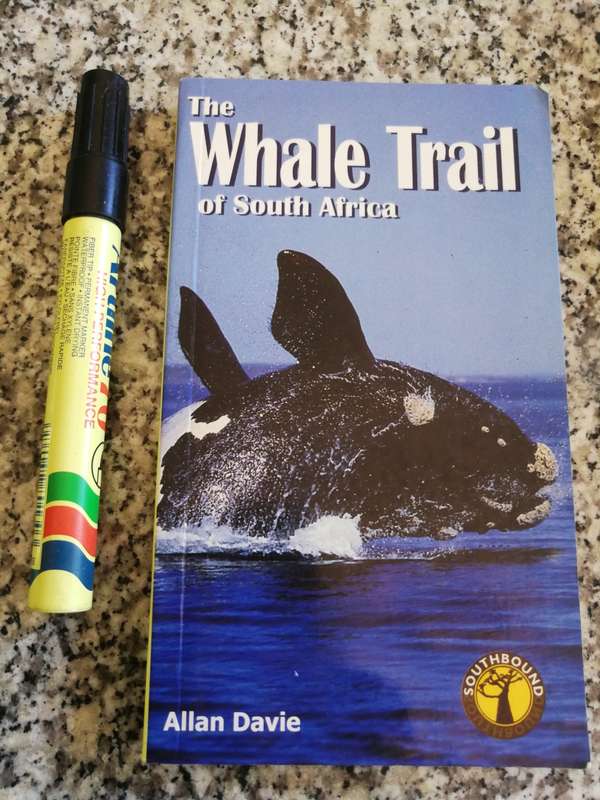 THE WHALE TRAIL of SOUTH AFRICA ALLAN DAVIE  (  whale watching )