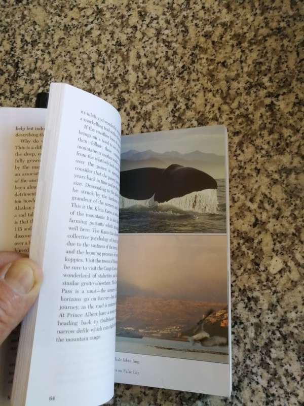 THE WHALE TRAIL of SOUTH AFRICA ALLAN DAVIE  (  whale watching )