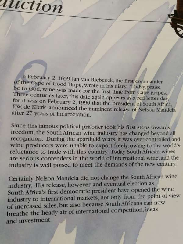 WINES AND BRANDIES OF THE CAPE OF GOOD HOPE PHYLLIS HANDS DAVID HUGHES The Definitive Guide wine