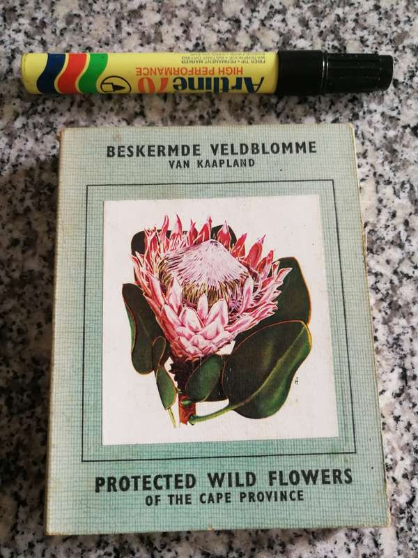 PROTECTED WILD FLOWERS OF THE CAPE PROVINCE BESKERMDE VELDBLOMME VAN KAAPLAND 1958
