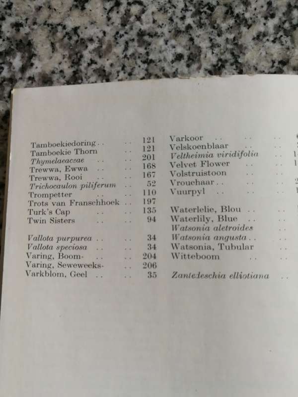 PROTECTED WILD FLOWERS OF THE CAPE PROVINCE BESKERMDE VELDBLOMME VAN KAAPLAND 1958