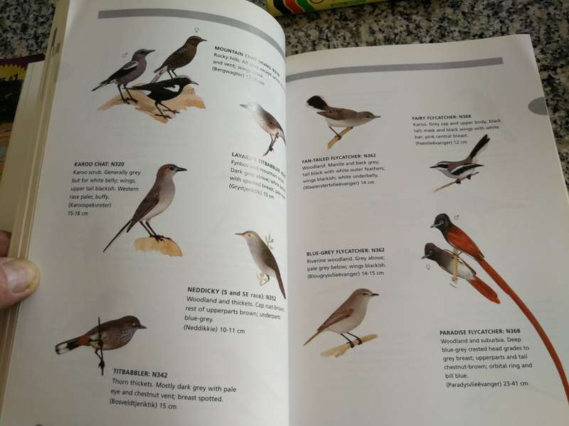 NEWMAN`S BIRDS BY COLOUR S A`s Common Bird`s arranged by COLOUR KENNETH NEWMAN note damage