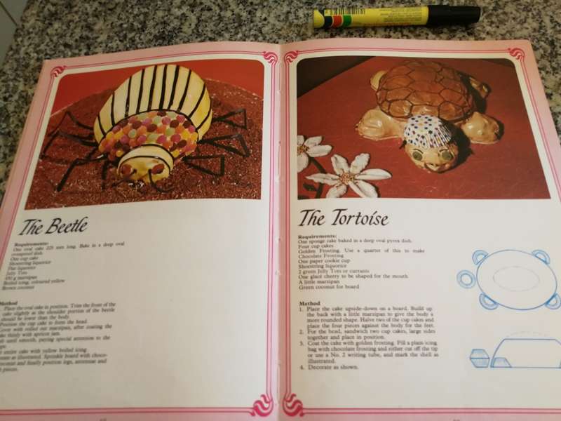 BAKE & CREATE CHILDREN CAKES GLADIOLA BOTHA CONNIE SWANNEPOEL  (  birthday  baking bake )