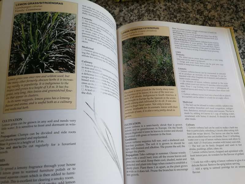 MARGARET ROBERTS A-Z OF HERBS  ( Uses  for each HERB  include Cosmetic , Medicinal Culinary ) A - Z