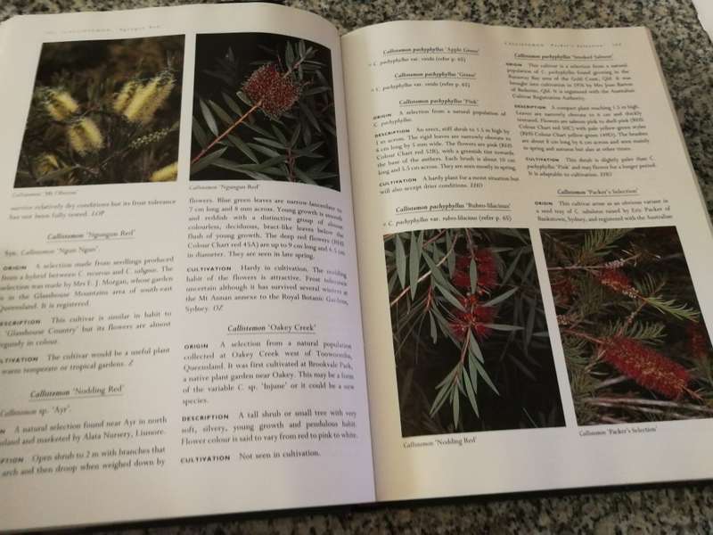 BOTTLEBRUSHES PAPERBARKS & TEA TREES  and other  LEPTOSPERMUM ALLIANCE JOHN W WRIGLEY MURRAY FAGG