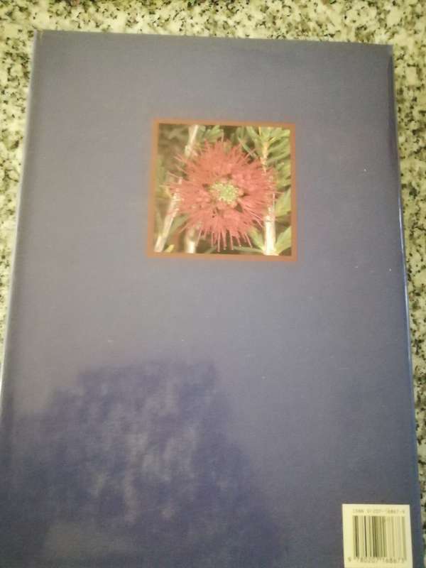 BOTTLEBRUSHES PAPERBARKS & TEA TREES  and other  LEPTOSPERMUM ALLIANCE JOHN W WRIGLEY MURRAY FAGG