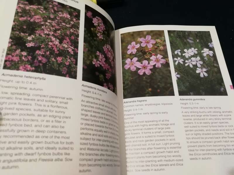 GROW FYNBOS PLANTS NEVILLE BROWN & GRAHAM DUNCAN Kirstenbosch Gardening Series