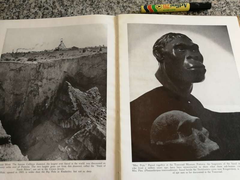 SOUTH AFRICA LAND OF SUNSHINE EZRA ELIOVSON First Printing 1953