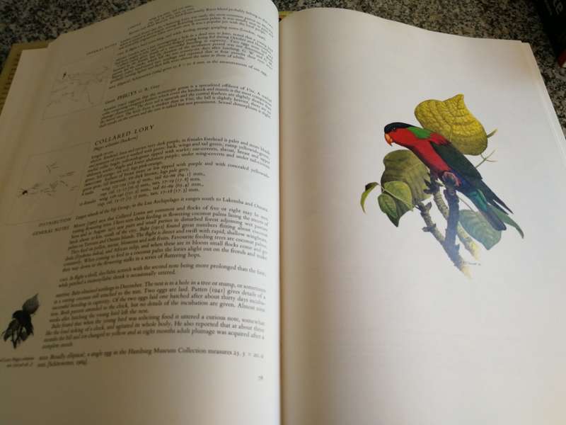 PARROTS OF THE WORLD JOSEPH M FORSHAW