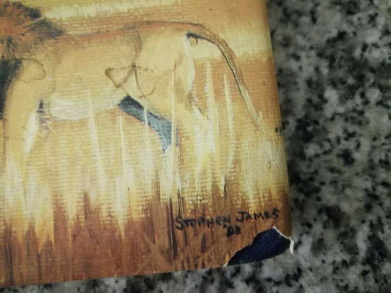 THE HUNTER AND THE GO AWAY BIRD Ramblings of an African Hunter STEPHEN J SMITH