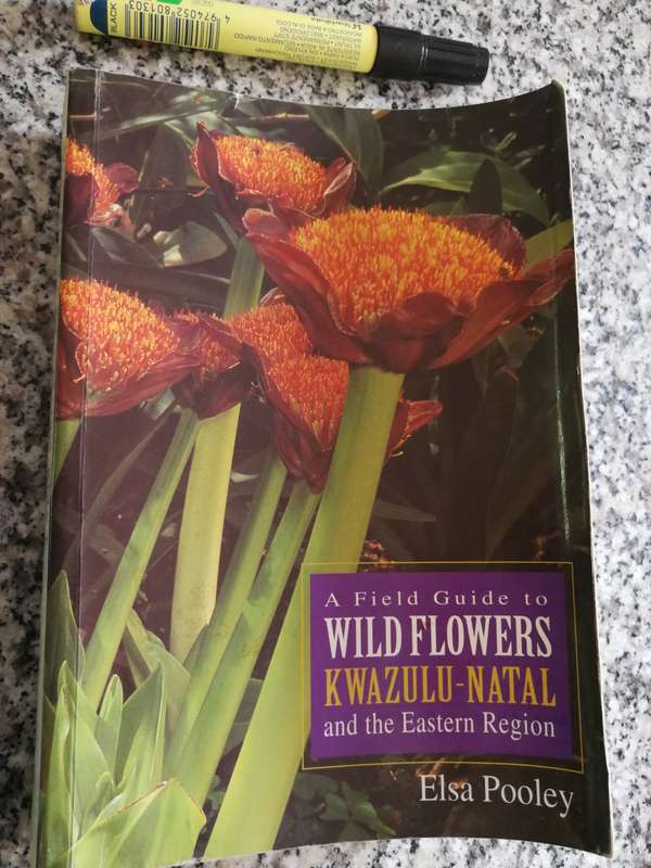 A FIELD GUIDE TO WILD FLOWERS KWAZULU NATAL & the Eastern Region ELSA POOLEY  wildflowers Softcover