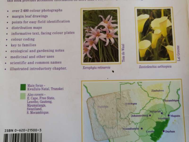 A FIELD GUIDE TO WILD FLOWERS KWAZULU NATAL & the Eastern Region ELSA POOLEY  wildflowers Softcover