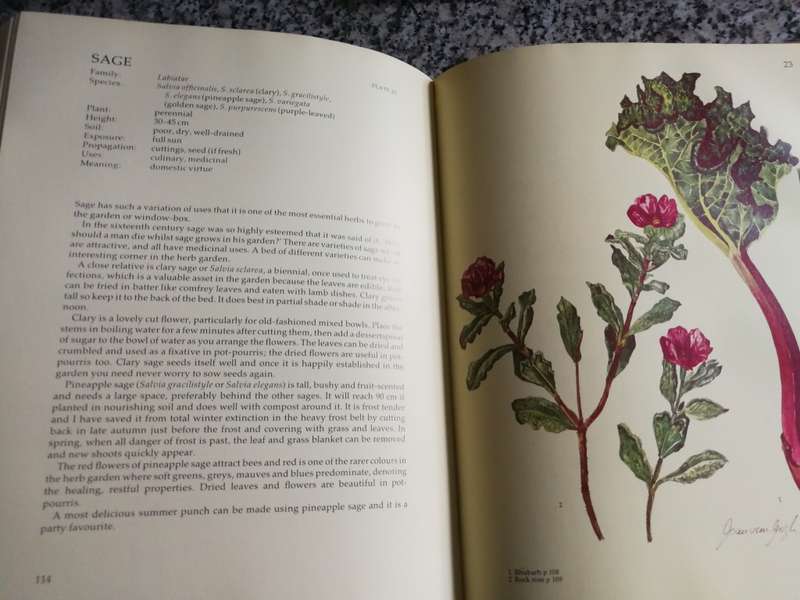 GROWING HERBS WITH MARGARET ROBERTS Guide to Growing Herbs in S AFRICA including  many & varied uses