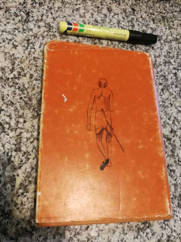 APPRENTICESHIP OF A MAHATMA FATIMA MEER ( Foreword Alan Paton )  Mahatma Gandhi )