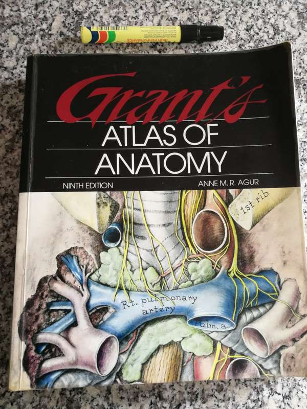 ATLAS OF ANATOMY NINETH EDITION ANNE M R AGUR ( human body dissecting reference )