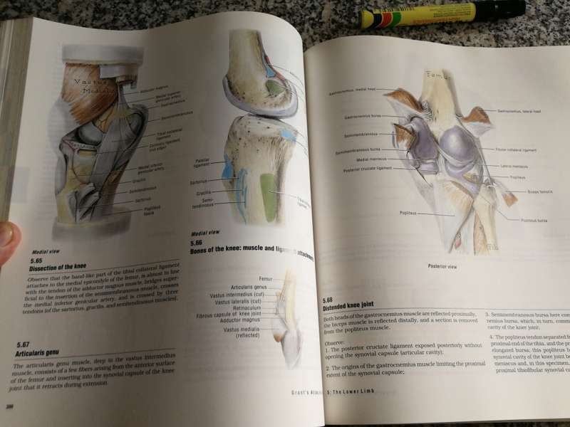 ATLAS OF ANATOMY NINETH EDITION ANNE M R AGUR ( human body dissecting reference )