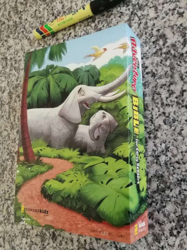 ADVENTURE BIBLE for EARLY READERS NIrV ( Children Children`s bible )