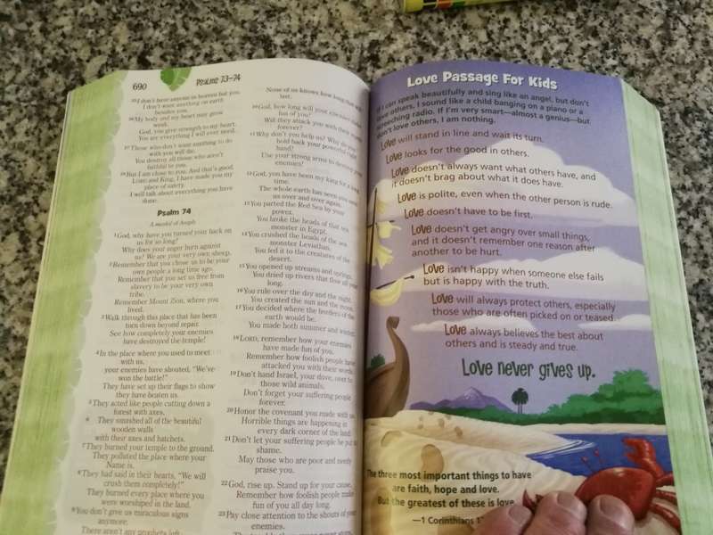 ADVENTURE BIBLE for EARLY READERS NIrV ( Children Children`s bible )