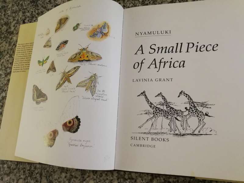 NYAMULUKI A SMALL PIECE OF AFRICA LAVINIA GRANT