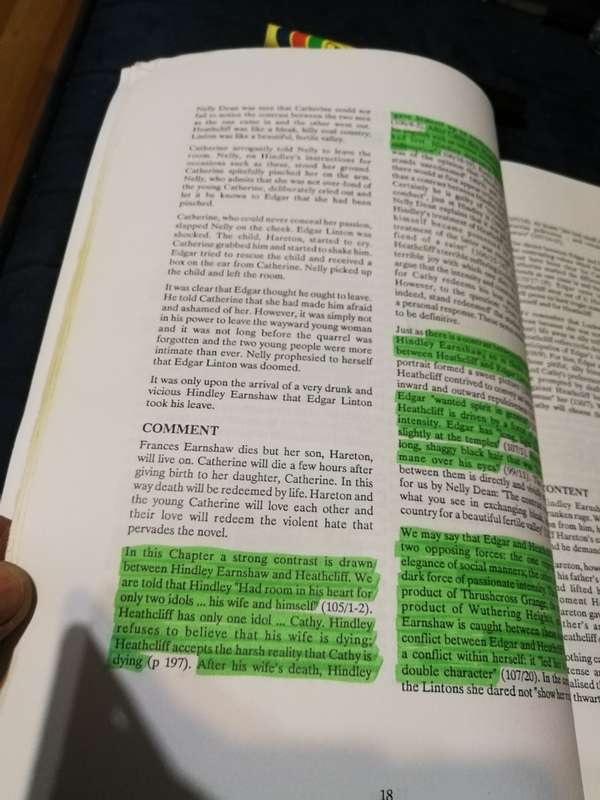 WUTHERING HEIGHTS EMILY BRONTE GUIDELINES & STUDY AIDS The BLUE BOOK SERIES