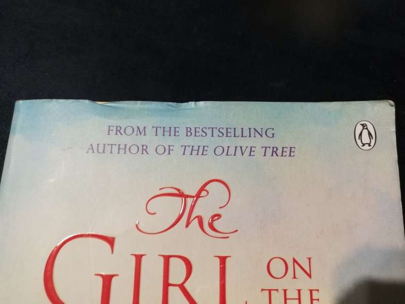 THE GIRL ON THE CLIFF LUCINDA RILEY
