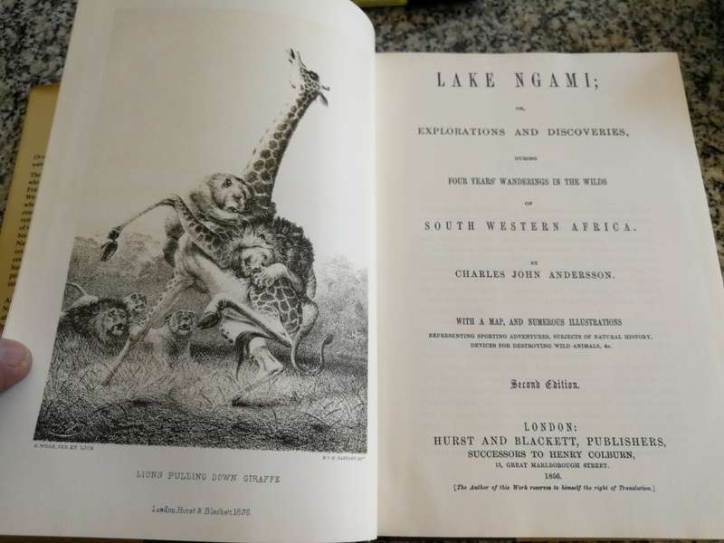 LAKE NGAMI or EXPLORATIONS and Discovery CHARLES JOHN ANDERSSON Facsimile Reprint 1987