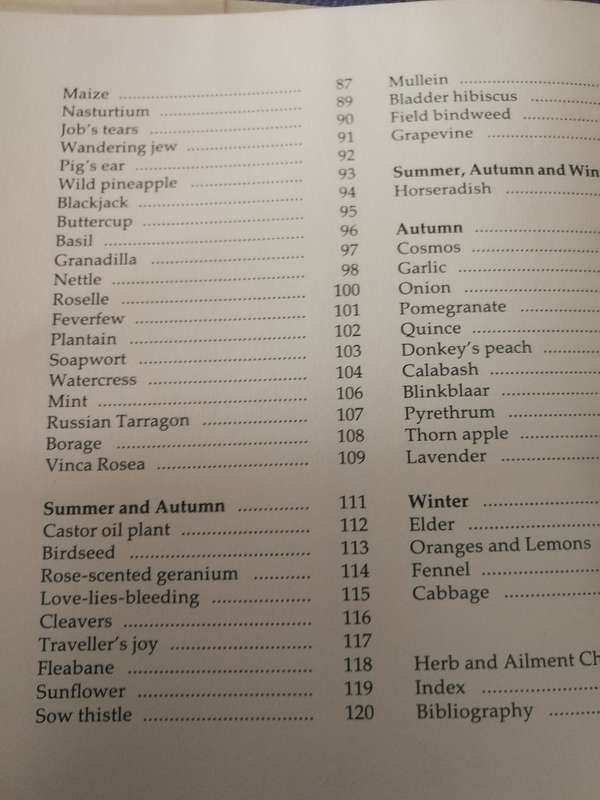 MARGARET ROBERTS BOOK OF HERBS THE MEDICINAL and CULINARY USES OF HERBS in SOUTH AFRICA