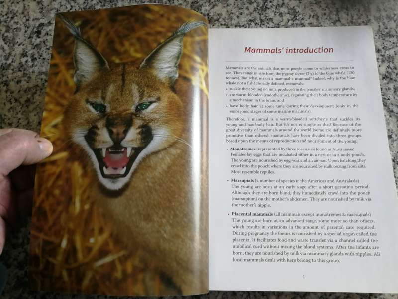 BEAT ABOUT THE BUSH MAMMALS & BIRDS TREVOR CARNABY Updated & Revised 2018