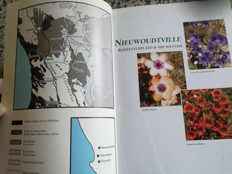 NIEUWOUDTVILLE BOKKEVELD & DIE HANTAM VELDBLOMGIDS Suid Afrika 9 JOHN MANNING & PETER GOLDBLATT