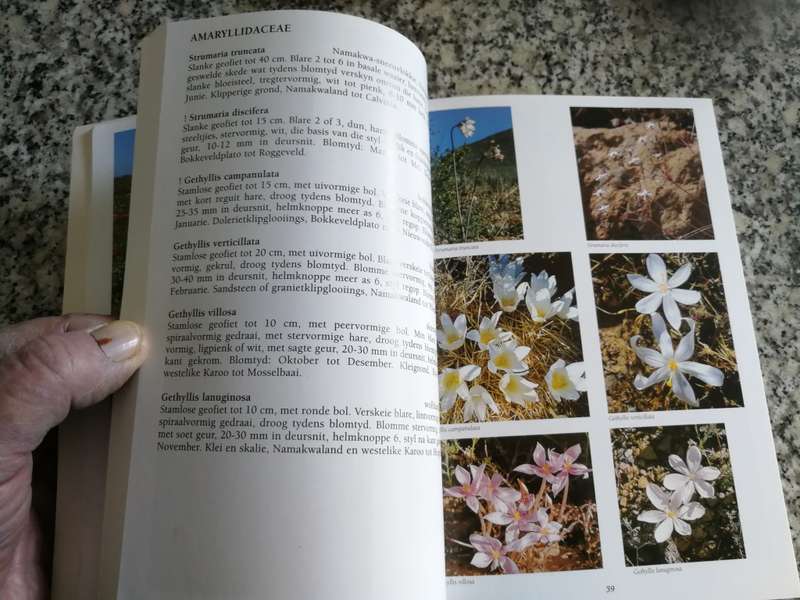 NIEUWOUDTVILLE BOKKEVELD & DIE HANTAM VELDBLOMGIDS Suid Afrika 9 JOHN MANNING & PETER GOLDBLATT