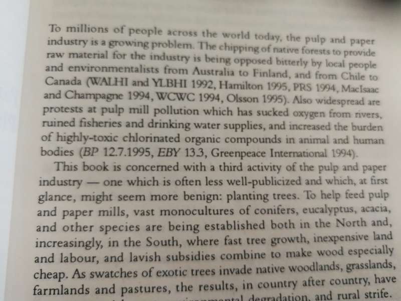 PULPING THE SOUTH INDUSTRIAL TREE PLANTATIONS R CARRERE L LOHMANN Forestry Timber  Paper Pulp wood