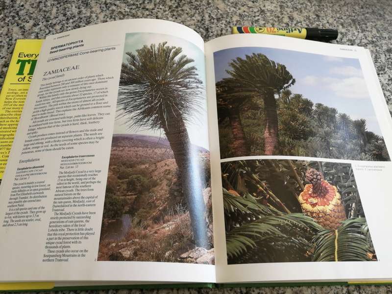 EVERYONES GUIDE TO TREES OF SOUTH AFRICA KEITH PAUL & MEG PALGRAVE incl Cycads & also Medicinal uses
