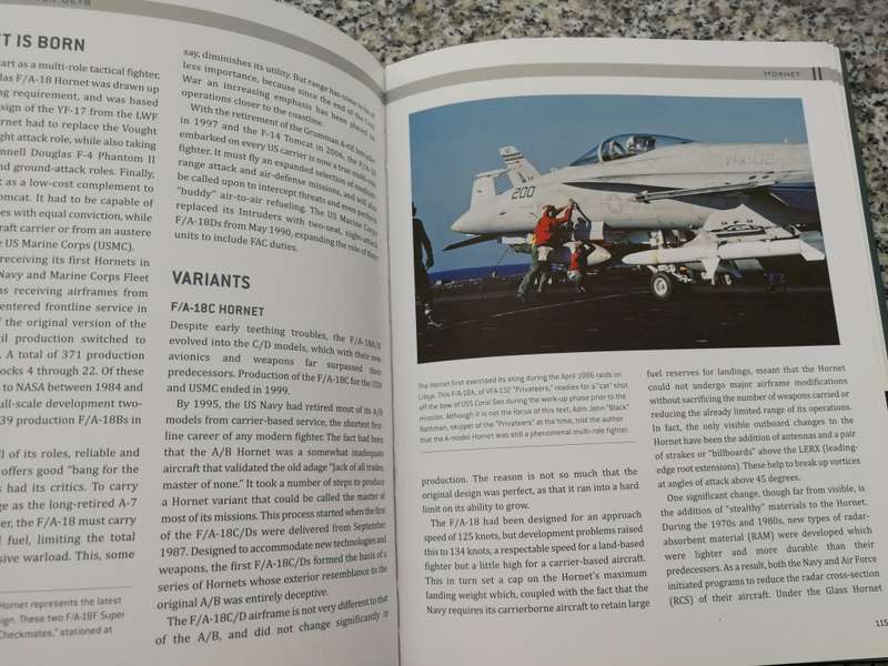 US MULTI ROLE FIGHTER JETS STEVE DAVIES ( Fighter Jets Aircraft Flight  aviation  )