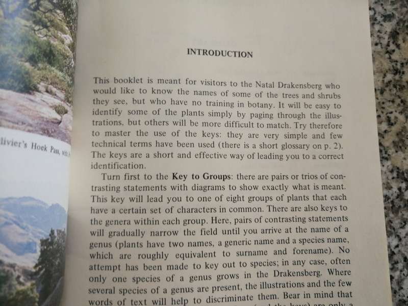 TREES & SHRUBS of the NATAL DRAKENSBERG O M HILLIARD UKHAHLAMBA Series No 1