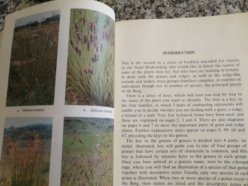 TREES & SHRUBS of the NATAL DRAKENSBERG O M HILLIARD UKHAHLAMBA Series No 1