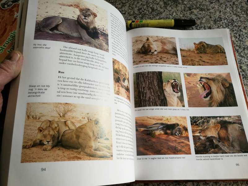 JAGTERS VAN DIE DUINE Die Storie van die KALAHARIELEEU FRITZ ELOFF 2002 Kalahari dorsland