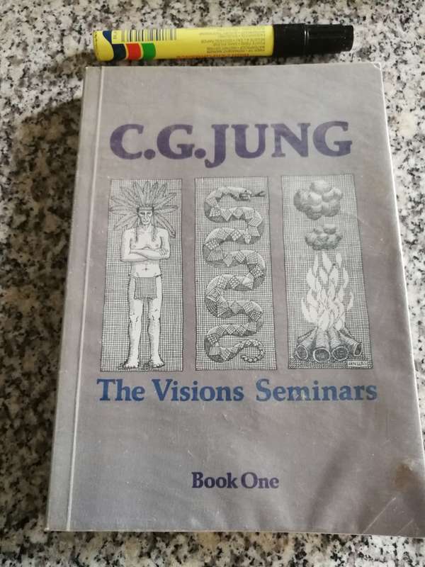 C G JUNG THE VISIONS SEMINARS Book ONE only  1976