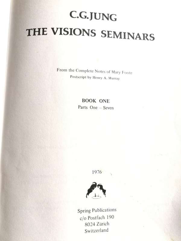 C G JUNG THE VISIONS SEMINARS Book ONE only  1976