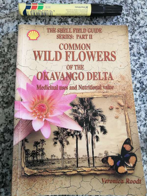 SHELL FIELD GUIDE Part II COMMON FLOWERS OF  OKAVANGO DELTA Medicinal & Nutritional VERONICA ROODT