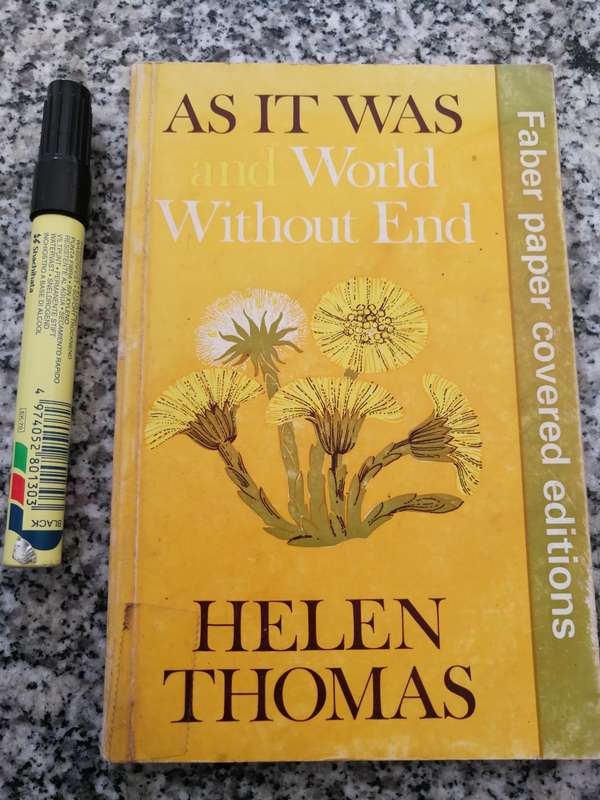AS IT WAS AND WORLD WITHOUT END HELEN THOMAS
