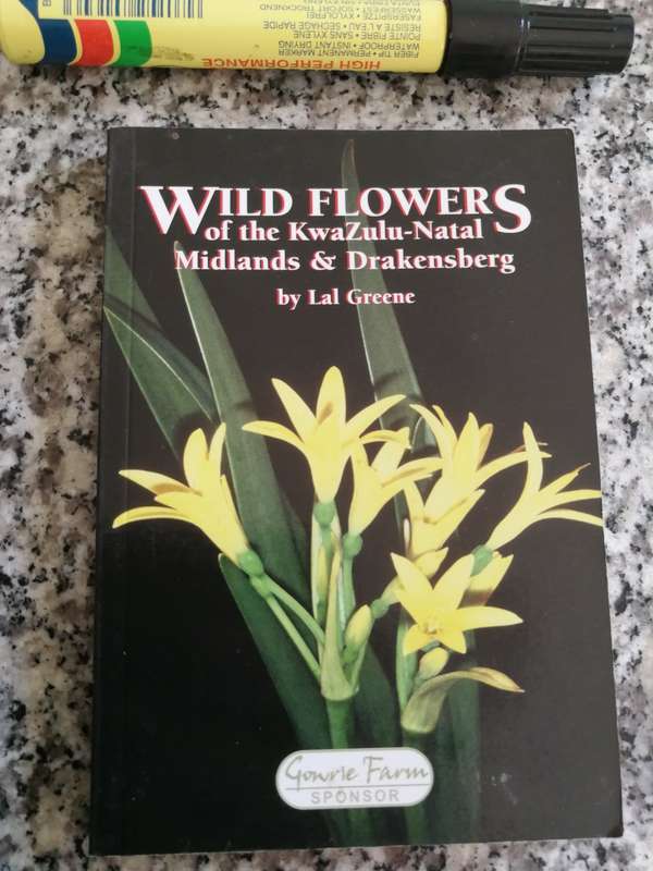 WILD FLOWERS OF KWAZULU NATAL MIDLANDS & DRANKENSBERG by LAL GREENE Pocket size