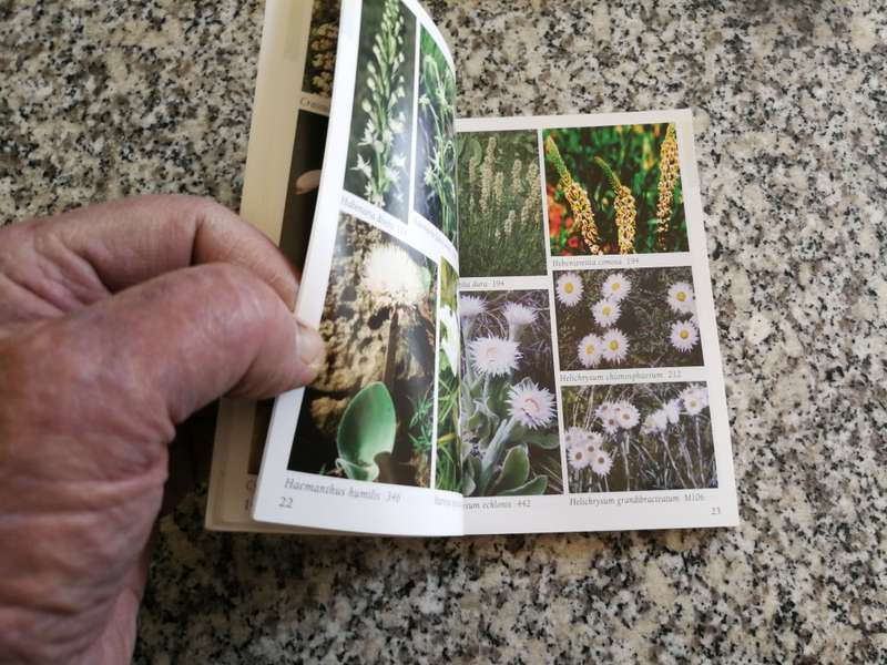 WILD FLOWERS OF KWAZULU NATAL MIDLANDS & DRANKENSBERG by LAL GREENE Pocket size