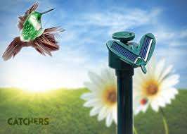 Solar Humming bird