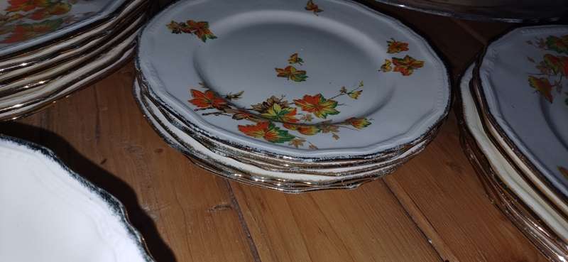 ALFRED MEAKIN DINNER SET