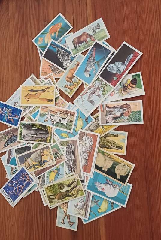 70 Brookebond cards