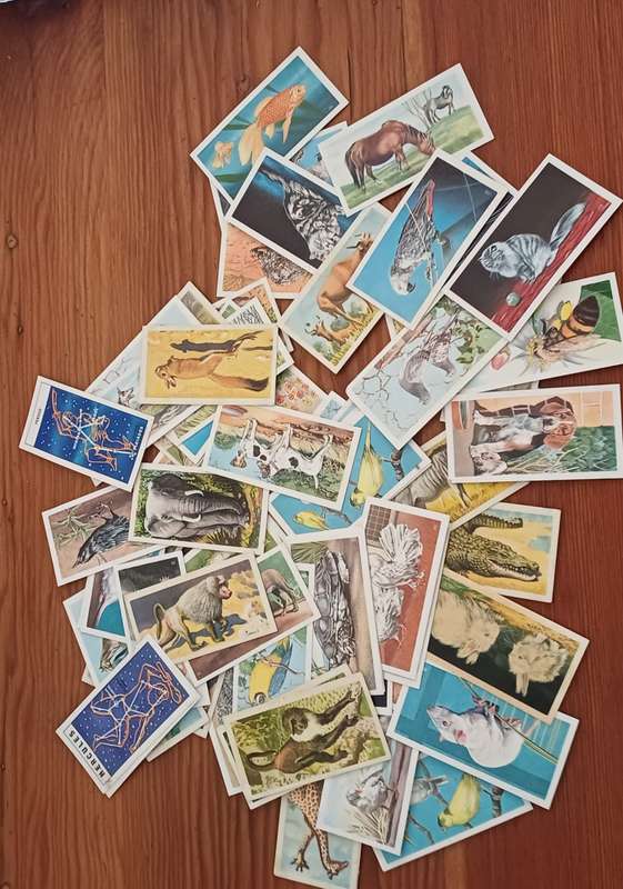 70 Brookebond cards