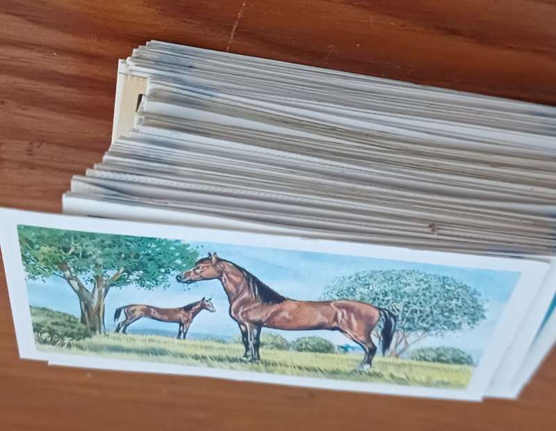 70 Brookebond cards