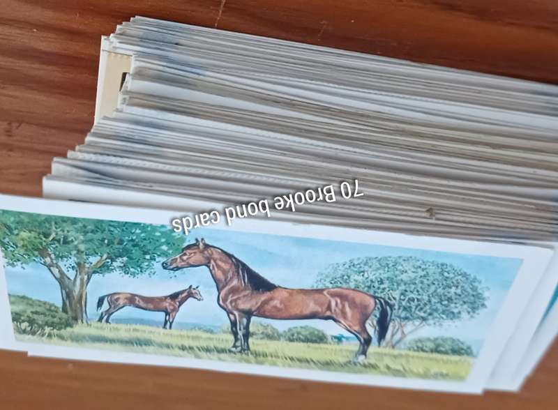 70 Brookebond cards